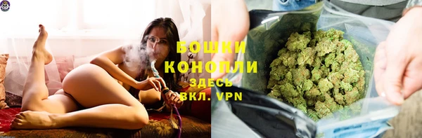дживик Иннополис