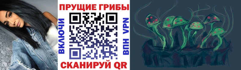 хочу наркоту Тайшет omg ССЫЛКА Псилоцибиновые грибы Cubensis