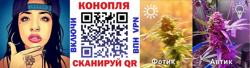 Шишки марихуана марихуана хочу наркоту darknet телеграм Тайшет блэк спрут рабочий сайт